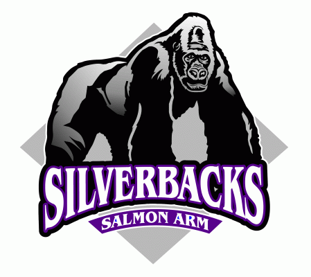 Salmon Arm Silverbacks 2001-2012 Primary Logo iron on transfers for T-shirts
